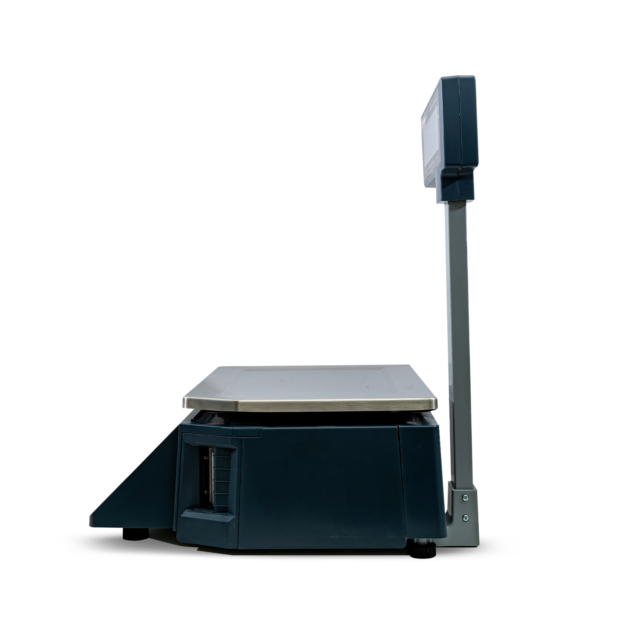 Tiger TPLS-01 มุมด้านหลัง